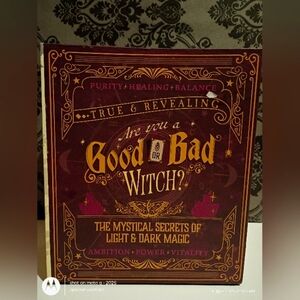 Good Or Bad Witch Hard Gift Bag Or Carry On